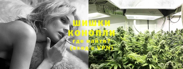 ПСИЛОЦИБИНОВЫЕ ГРИБЫ Каменногорск